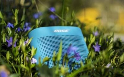 Bose Is Latest Company To Have Employee Data Breached
