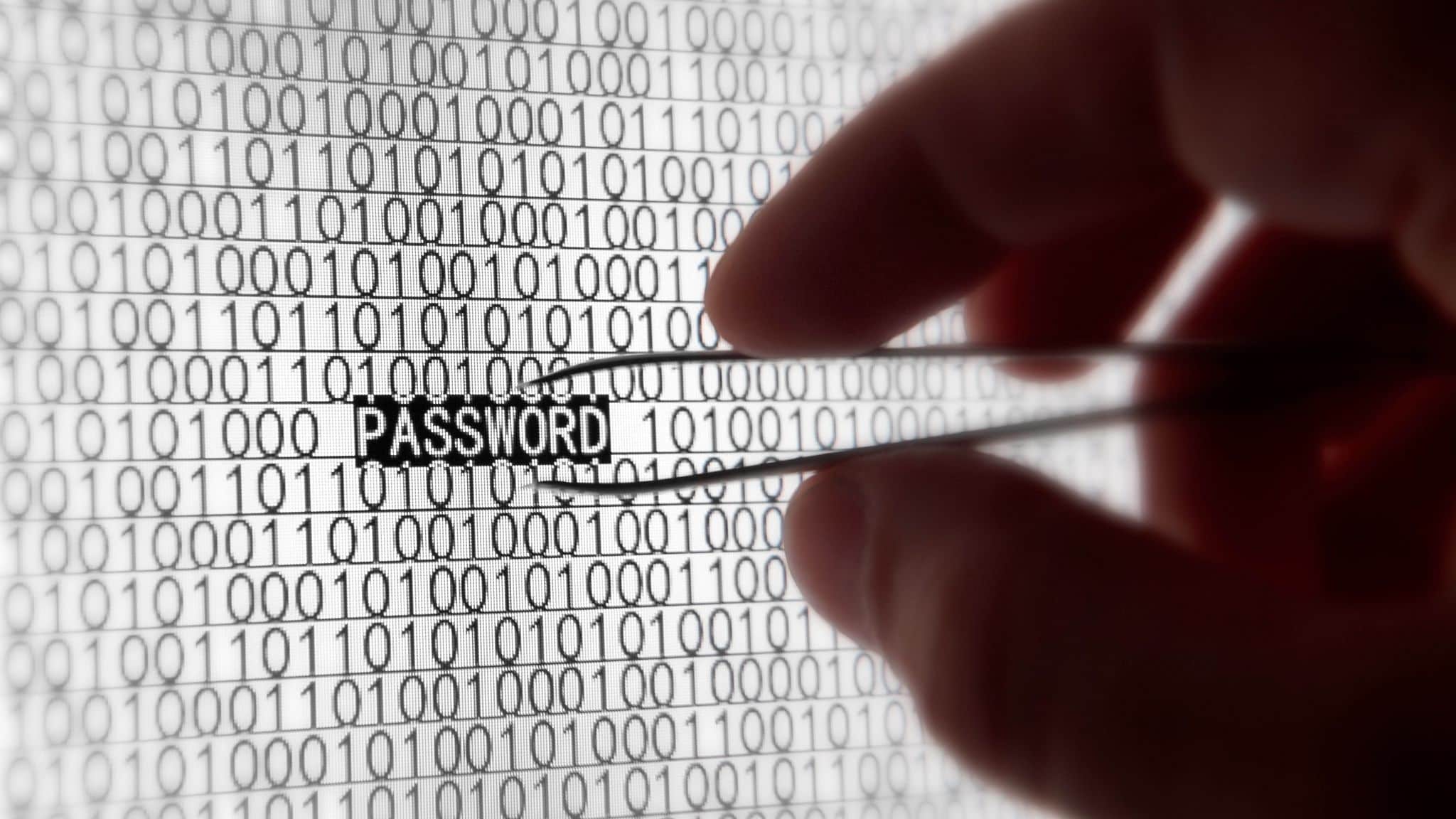 Password Managers are crucial for keeping your small business users secure.